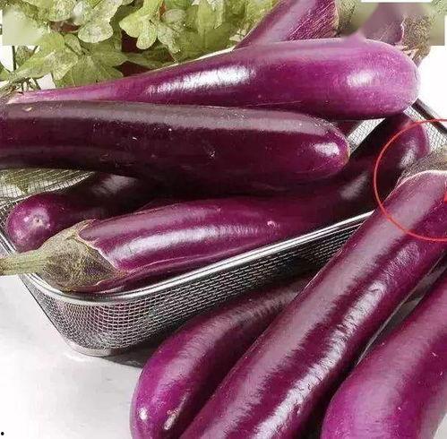 茄子吃瓜鬼畜视频大全集,笑料横生，欢乐无限