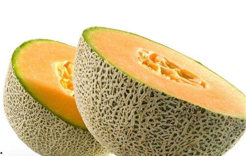 壁虎吃不吃哈密瓜呢视频,哈密瓜在菜单中吗？
